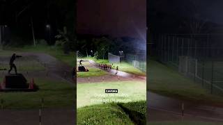 Caveira Caveira Pedaço De Osso Seco....