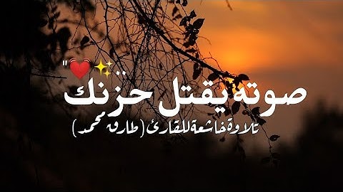 إجمل حالات واتس اب || تلاوة تقتل حزنك للقارئ طارق محمد بصوته العذب ✨💓 || مواساة ربانية