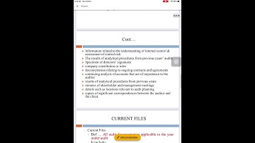 AUD339 AUDIT DOCUMENTATION (AUDIT WORKING PAPER)