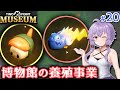 【ツーポイントミュージアム】ゆかりの何でも展示する謎の博物館作り #20【ボイロ実況】