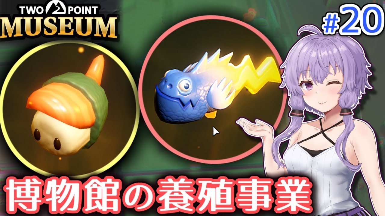 【ツーポイントミュージアム】ゆかりの何でも展示する謎の博物館作り #20【ボイロ実況】