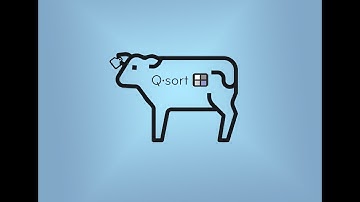 Q Sort By Quantum Genetix