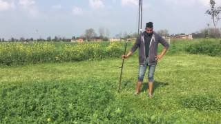 Punjab Agriculture 101