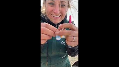 Vaccinating calves with Bovilis® Nasalgen® 3-PMH