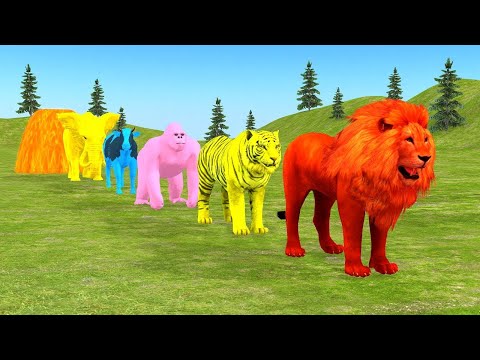 Long Slide Game With Elephant Gorilla Buffalo Hippopotamus Tiger - 3d Animal Game 