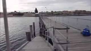 Port victoria jetty dive 4.2.12 -