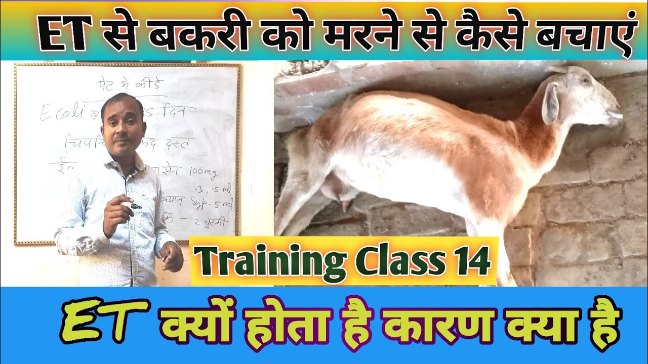 Online Training class 14|ET Bimari Kyu Hoti Hai, Eska Kya Ilaj Kare |Vimalumrao