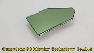 Custom LCD Display - SJXDGW016 - High Contrast Display