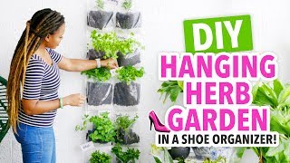 DIY Indoor Herb Garden in a Shoe Organizer!  HGTV Handmade
