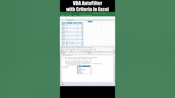 vba autofilter with criteria in excel