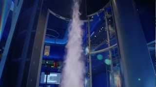 Reactions / ANIMAL INSIDE OUT (:30) MSI Commercial