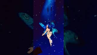 Download Lagu SZA Nobody Gets Me 2025 Grand National Tour MP3 Download Lagu SZA Nobody Gets Me 2025 Grand National Tour MP3