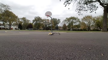 Beginner Trex 450SE Hover  Practice II