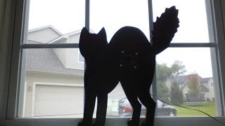How to Make a Halloween Cat that plays music!