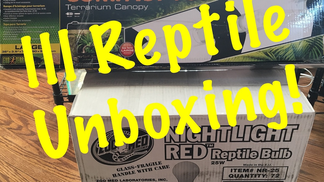 Reptile Room Vlog, LLL Reptiles Unboxing (02-03-2017) - YouTube