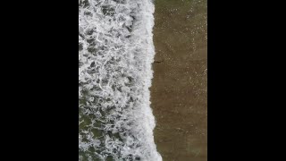 Video Shark Frenzy Seen In Shallow Water At New Smyrna Beach Video Shark Frenzy Seen In Shallow Water At New Smyrna Beach