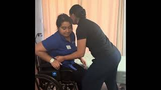 Bed mobility, transfers and precautions 