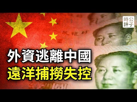 公子沈：中国地方政府穷疯了，远洋捕捞有钱人！桥水基金加速撤出中国，只剩下美日洋五毛还在制造中国繁荣假象...