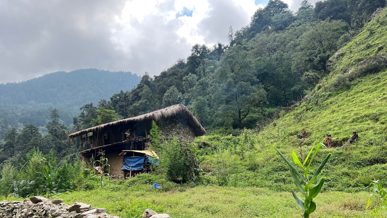 Very Beautiful day in the Nepali Mountain Village || Jiree Village || IamSuman