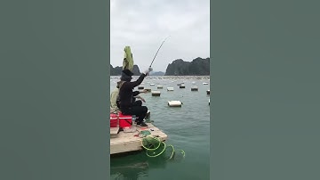 Câu cá ở vân đồn có gì ?