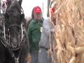 2009 Nebraska Hand Corn Husking Competition