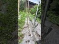 Manual Garden Hole Punch Tool for Plastic Mulch | Easy Seed Planting Tool