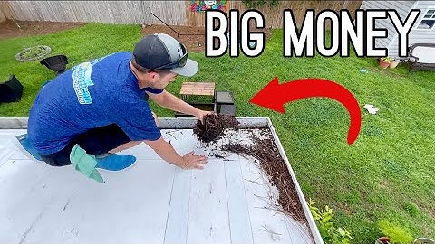 How To Start A Gutter Cleaning Business (Step By Step)