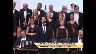 Gariplik Tuttu Boynumu (Mevlaya Mevlaya) - Alparslan ÖĞÜT Resimi