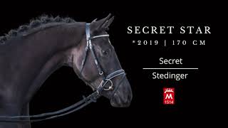 SECRET STAR *2019 v. Secret - Stedinger