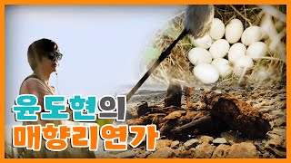한때 죽음의 땅이었던 작은 섬에서 다시 움트는 생명🌱 윤도현과 떠나는 상처와 치유가 공존하는 매향리에서의 특별한 소리여행｜[국내여행] KBS 20191101