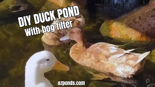 DIY Duck pond with bog filter Diy Build A Duck Pond Filter