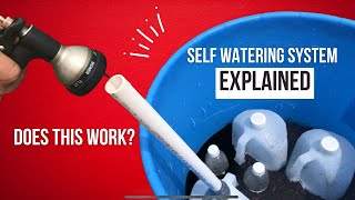 How a SELF WICKING container works! Use this Self Watering System Now!