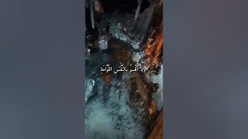 واتس اب قران كريم القارئ ياسر دوسري (سوره القيامه)