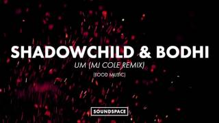 Shadowchild & Bodhi - UM (MJ Cole Remix)