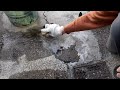 [ASMR] Laying Concrete 1 倒水泥囉! (with video)