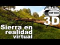 Árbol caído | Bosque de la primavera | Realidad virtual | Episodio #13