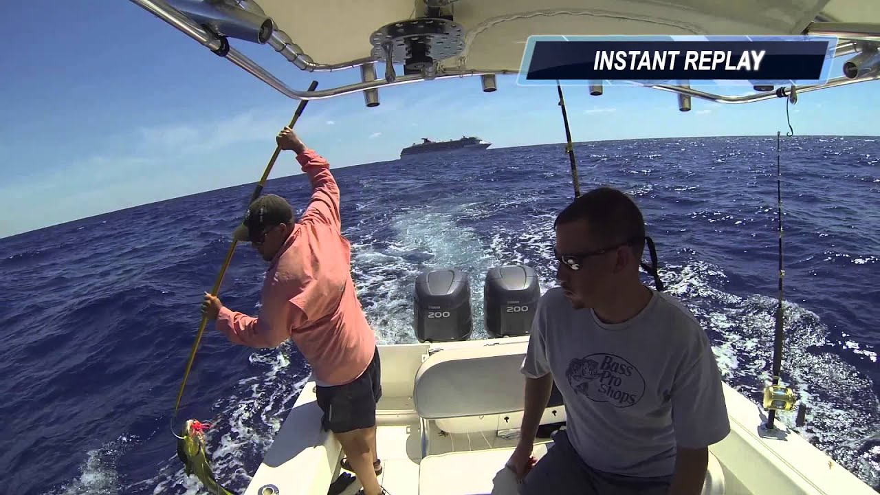 dolphin tours hatteras island