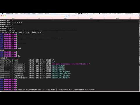 Bash Shell Shock vulnerability: Remote Command Execution