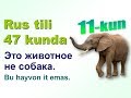 Рус тили 47 кунда 11-кун. Хайвонлар. Rus tili 47 kunda 11-kun. Hayvonlar.