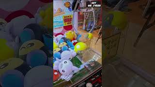 A wild Tadbulb appeared! | Pokédex Completion 66/1025→67/1025 #pokemon #shorts A wild Tadbulb appeared! | Pokédex Completion 66/1025→67/1025 #pokemon #shorts