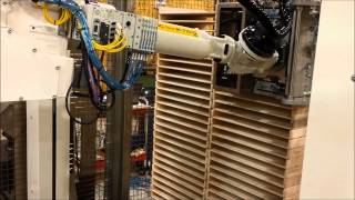 3D Vision Robot