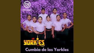 Video voorbeeld van "Los Yorkles - Cumbia de los Yorkles"