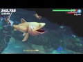 帰ってきたハングリーシャークpart12 暴食のウバザメ、アラビアン海で食らう