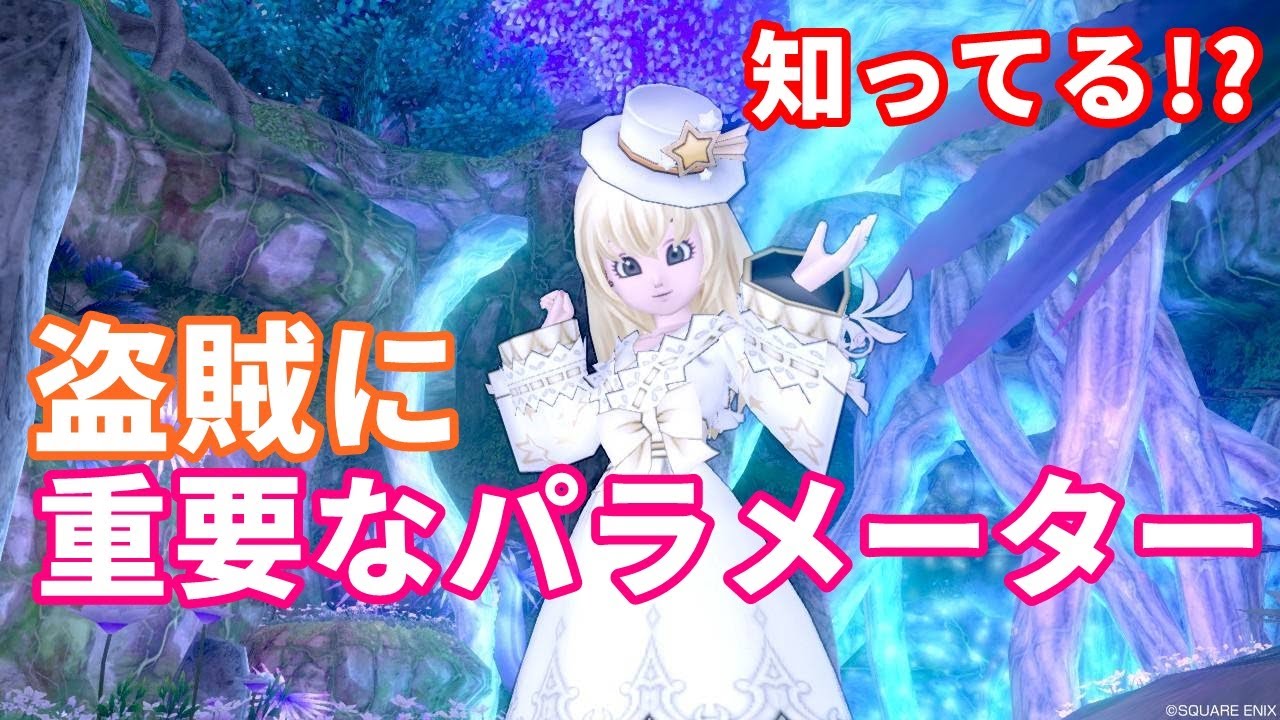 レアドロ、状態異常の特徴、盗賊に重要なパラメーターについて【ドラクエ10】てぃあのちいさな冒険日記