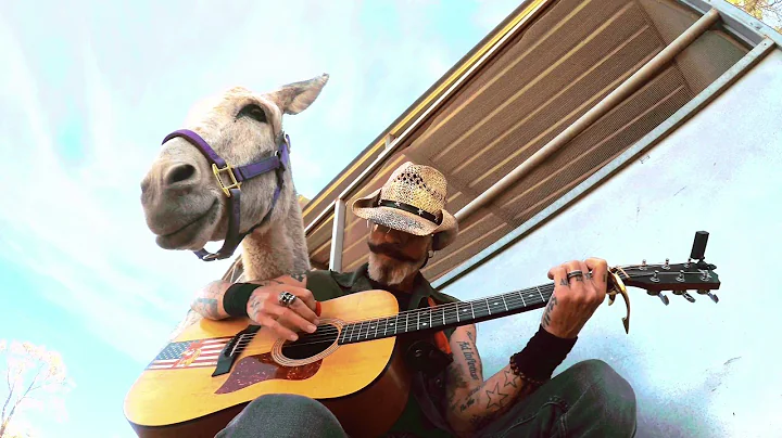 Hazel the donkey sings. Wait for it. Donkey loves ...