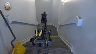 DPD Announces new Robot Dog
