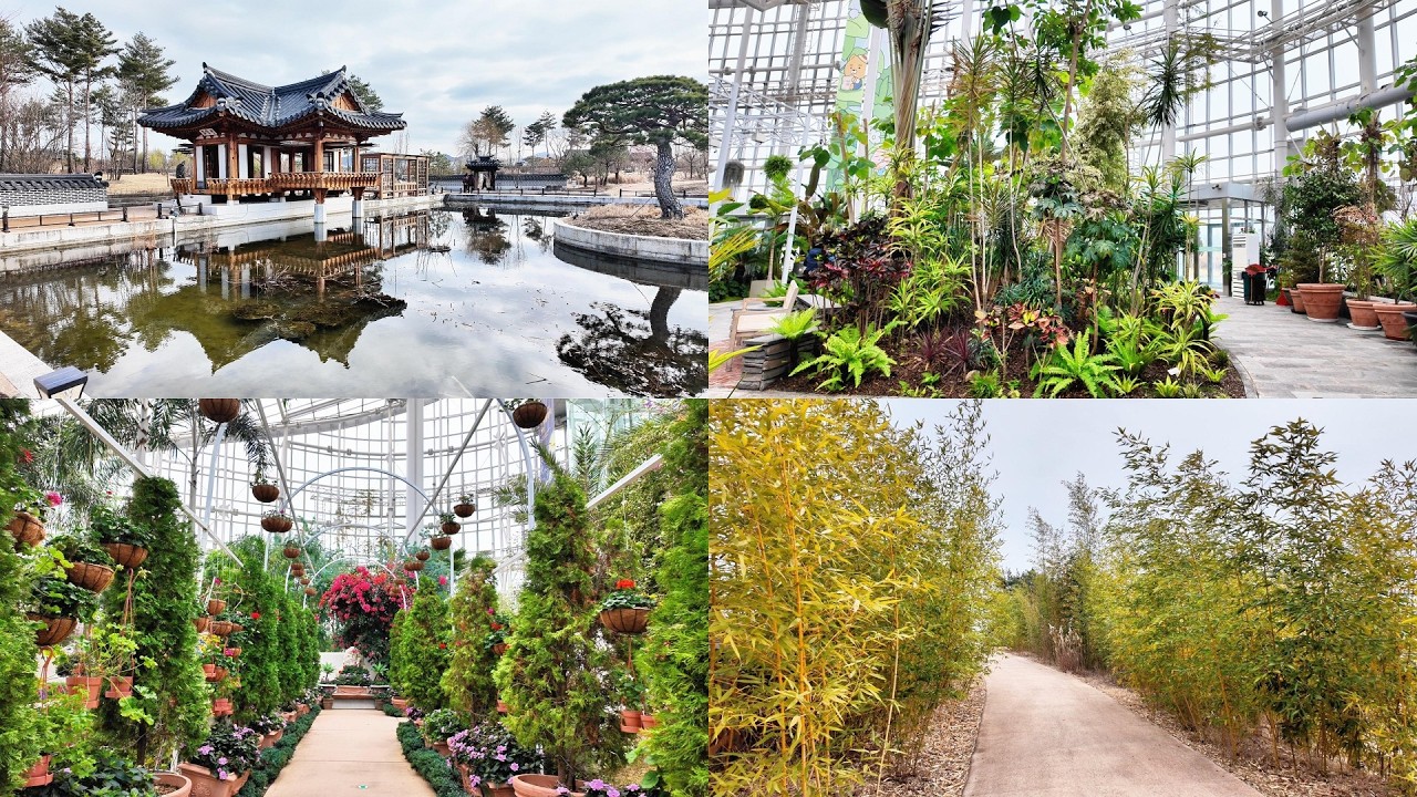 4K Korea Walking Tour | Sejong Botanical Garden (Arboretum) | Part 1