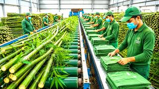 Bamboo Clothing Factory Process | Raw Footage, No Talking, Pure ASMR#factory screenshot 1