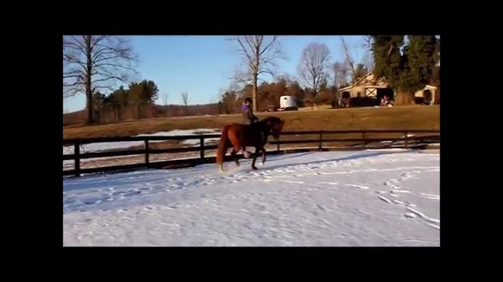 Bareback Dressage in the Snow