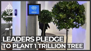 World Economic Forum leaders pledge to plant 1 trillion trees